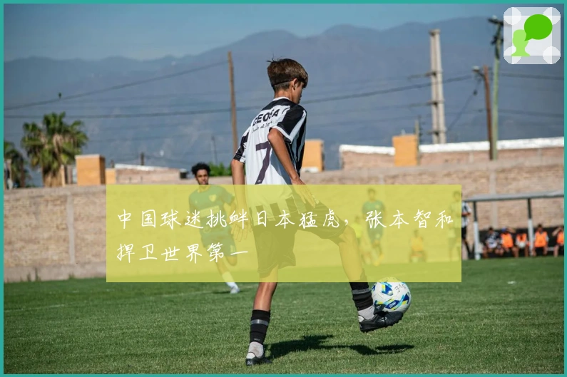 中国球迷挑衅日本猛虎，张本智和捍卫世界第一