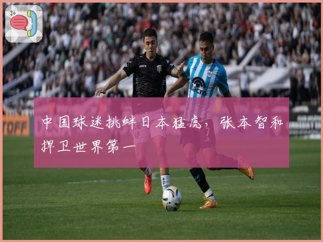 中国球迷挑衅日本猛虎，张本智和捍卫世界第一