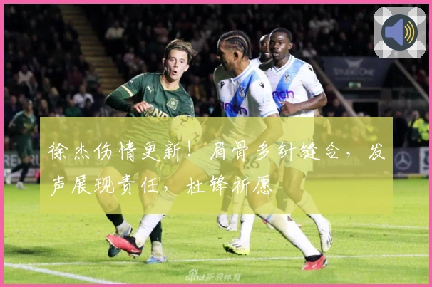 徐杰伤情更新！眉骨多针缝合，发声展现责任，杜锋祈愿